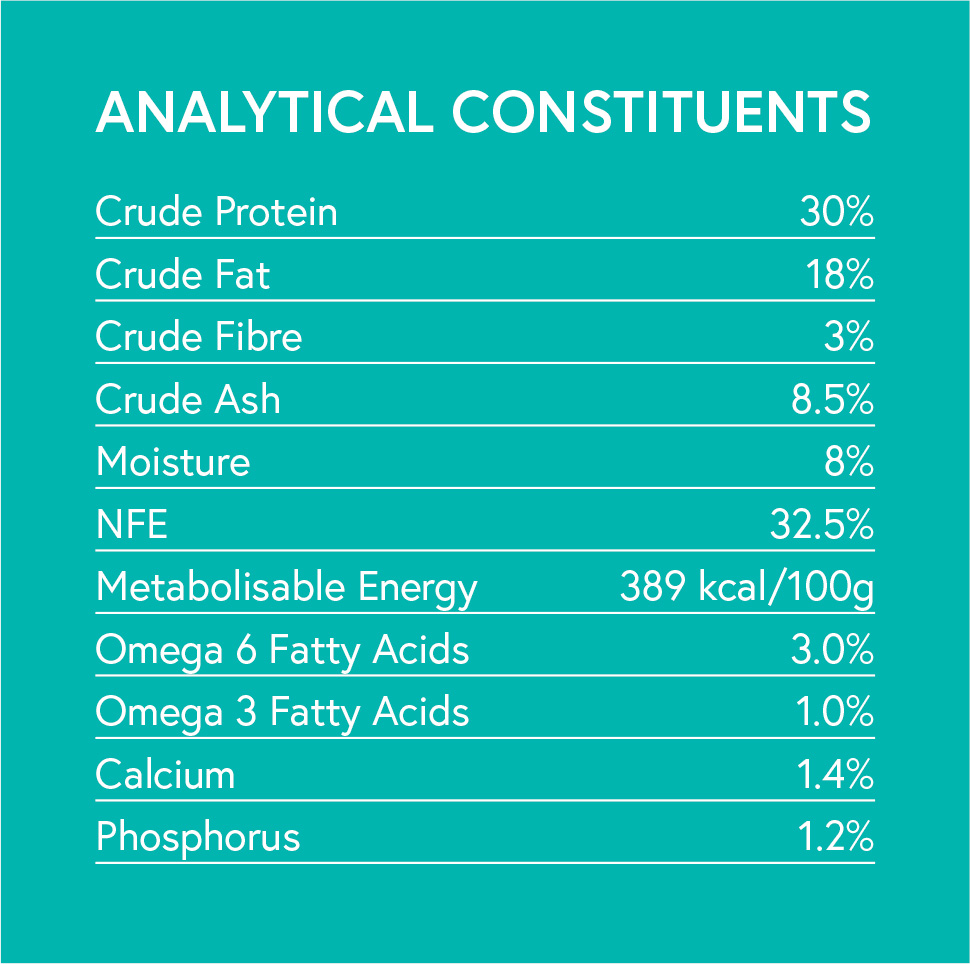 Small Breed Puppy Turkey Analyitics